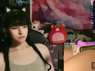 bimbocat – webcam model profile photo