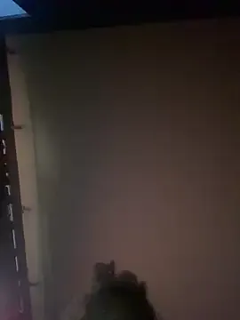 MissFancyXXL – webcam model profile photo